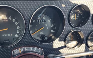 Ford-Ranchero-1979-8