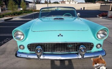 Ford-T-Bird-1955-Convertible-1