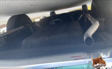 Ford-T-Bird-1955-Convertible-10