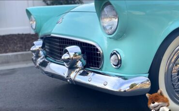 Ford-T-Bird-1955-Convertible-29