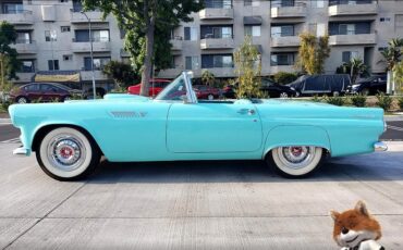 Ford-T-Bird-1955-Convertible-3