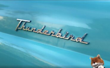 Ford-T-Bird-1955-Convertible-38
