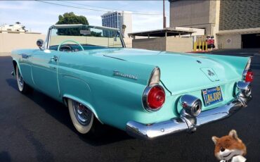 Ford-T-Bird-1955-Convertible-5