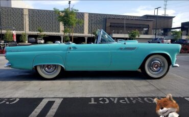 Ford-T-Bird-1955-Convertible-6