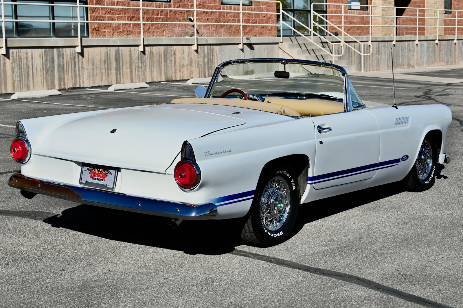 Ford-Thunderbird-1955-15