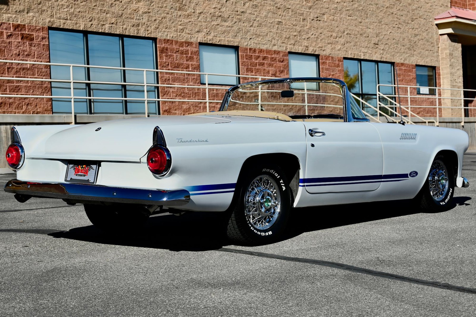 Ford-Thunderbird-1955-16