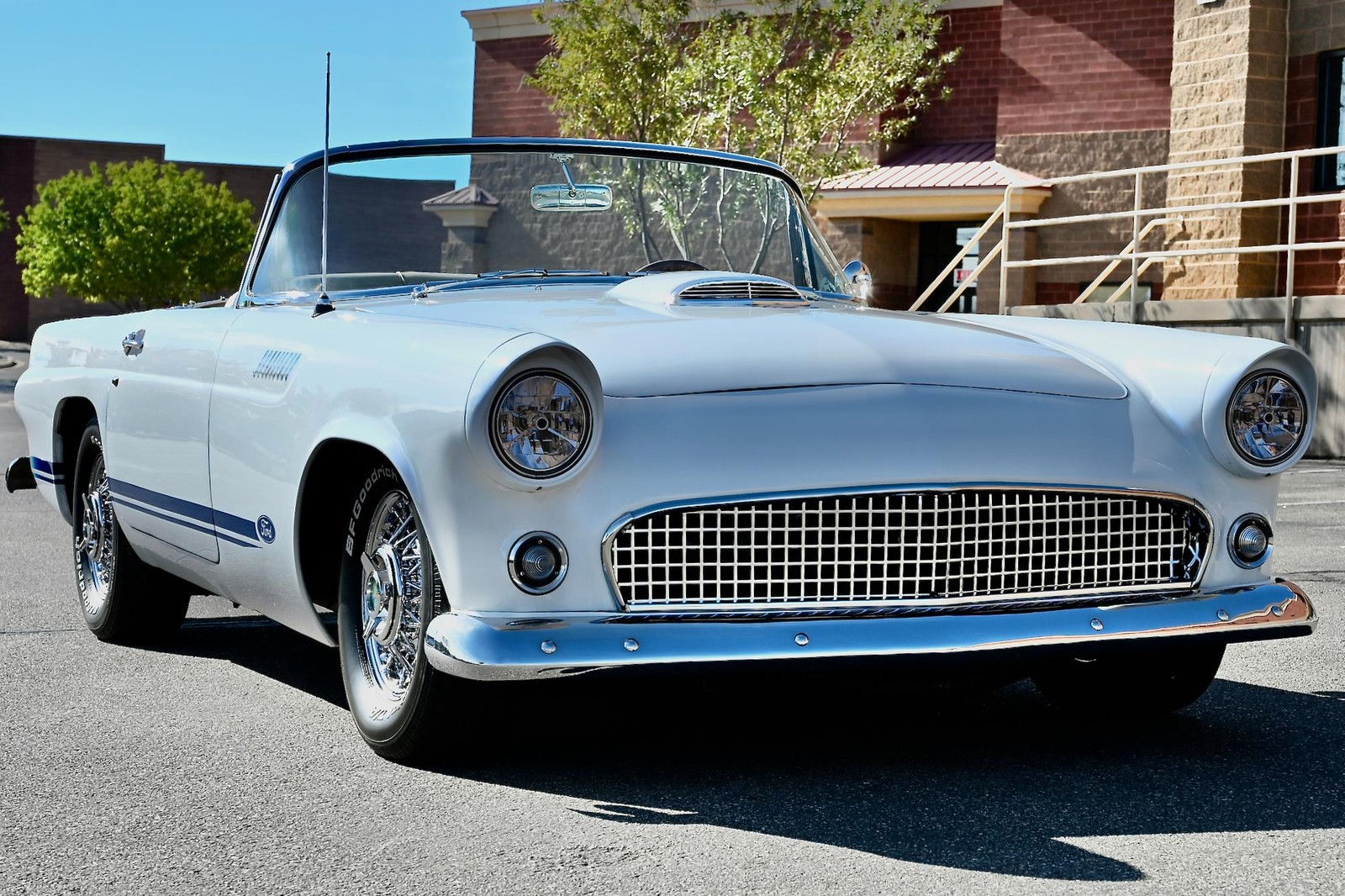 Ford-Thunderbird-1955-22