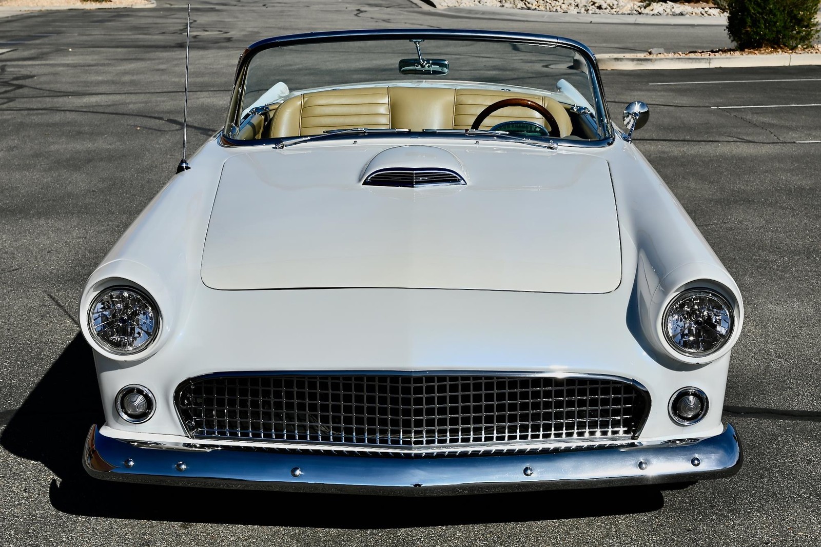 Ford-Thunderbird-1955-24