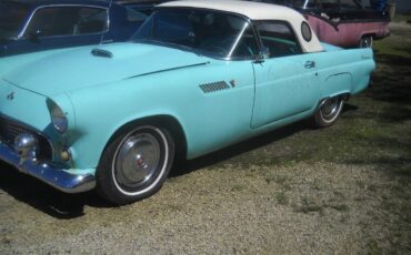 Ford-Thunderbird-1955-Convertible-2