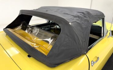 Ford-Thunderbird-1955-Goldenrod-Yellow-Black-32