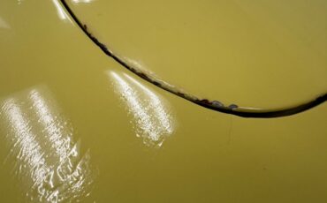 Ford-Thunderbird-1955-Goldenrod-Yellow-Black-35