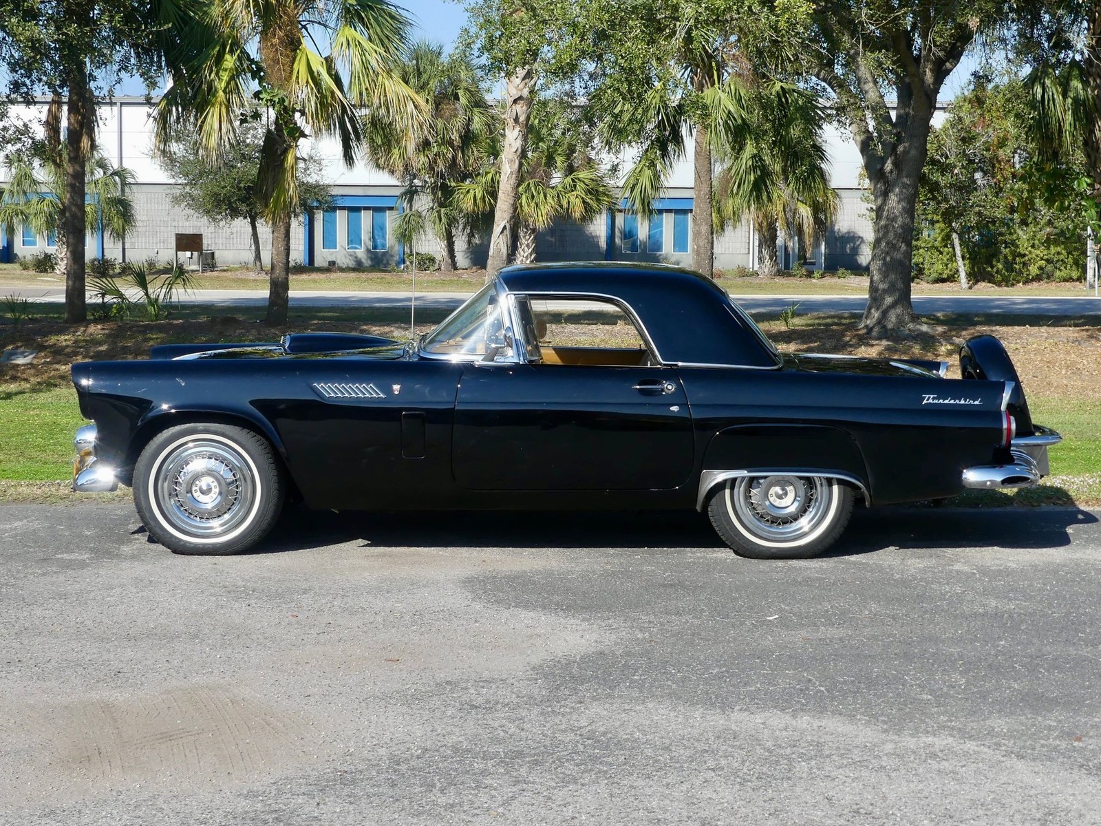 Ford-Thunderbird-1956-Convertible-12