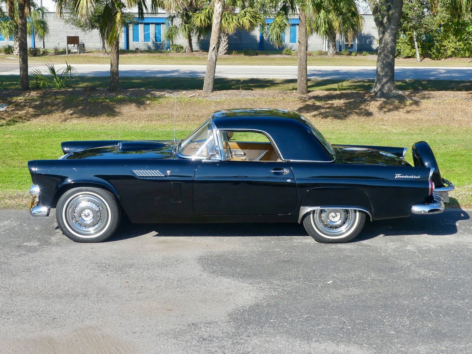 Ford-Thunderbird-1956-Convertible-13