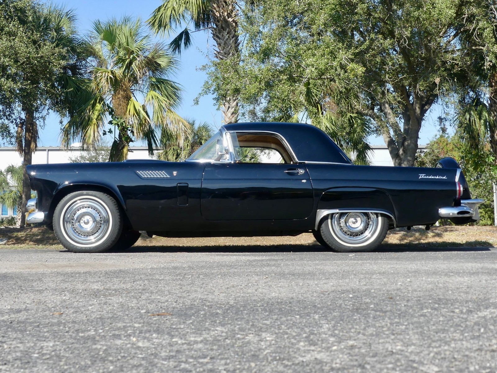 Ford-Thunderbird-1956-Convertible-14