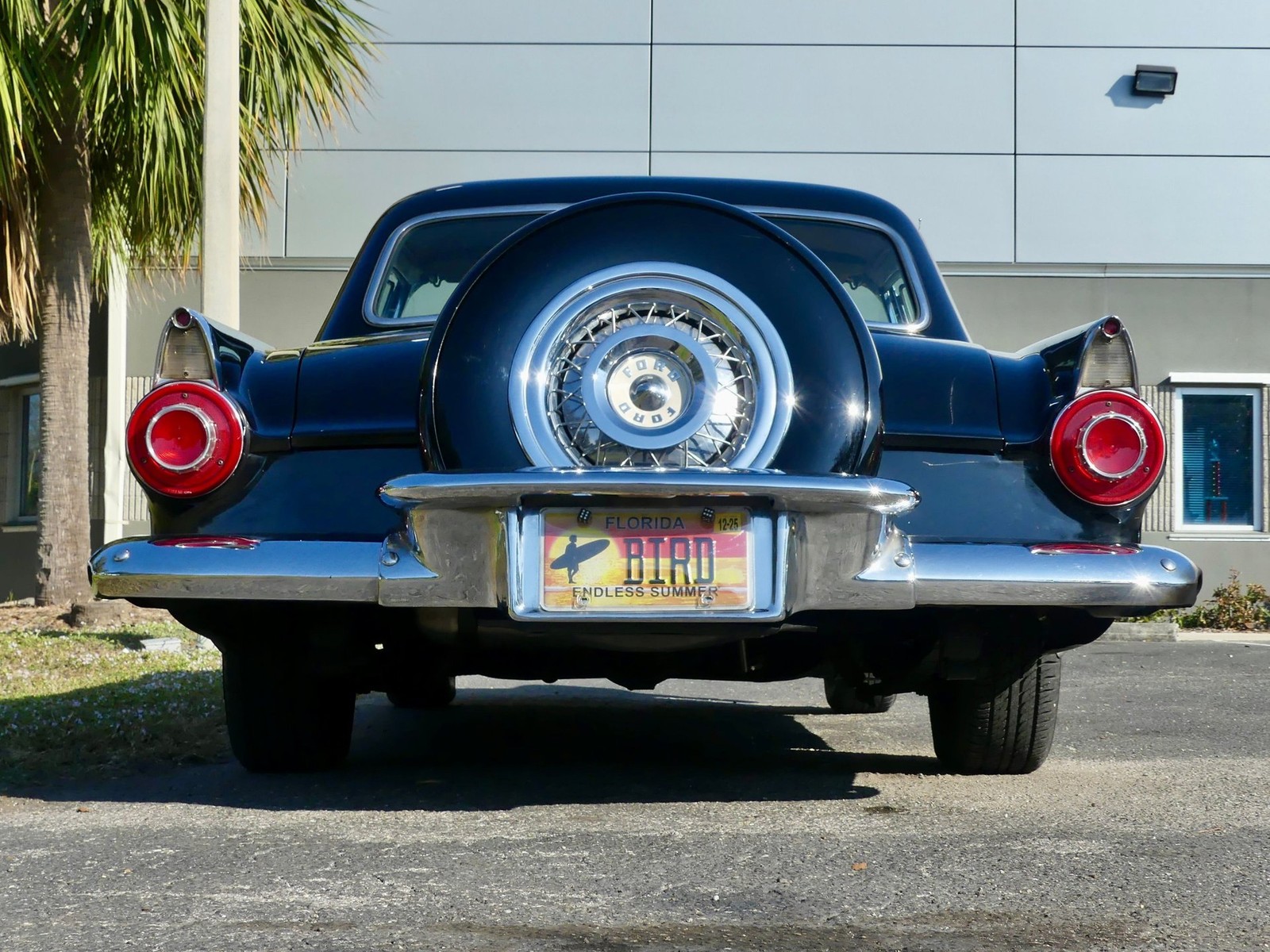 Ford-Thunderbird-1956-Convertible-20