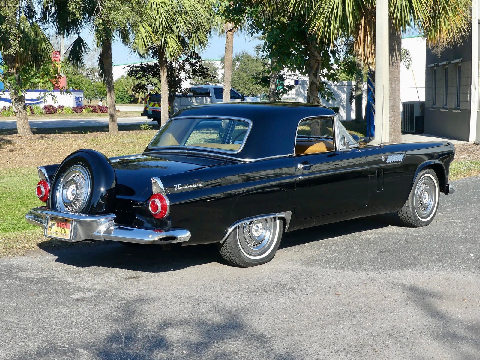 Ford-Thunderbird-1956-Convertible-21
