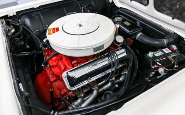 Ford-Thunderbird-1958-White-Red-18