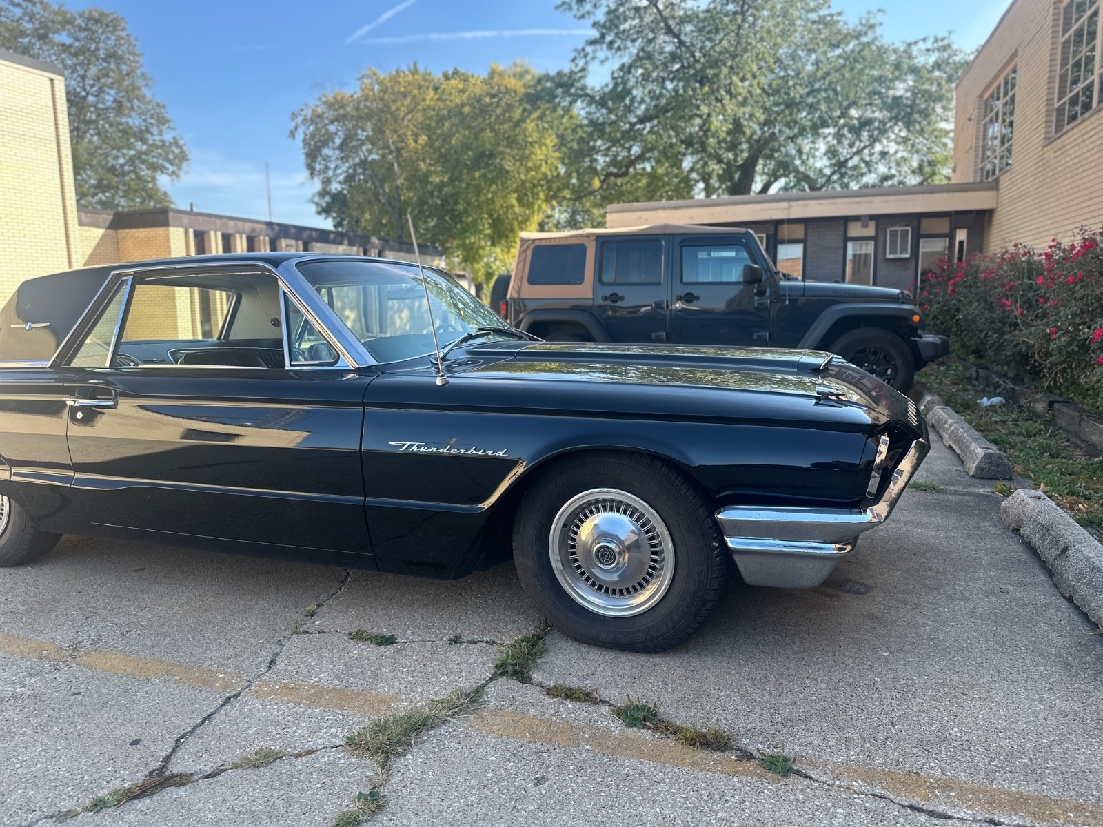 Ford Thunderbird 1964 Hardtop