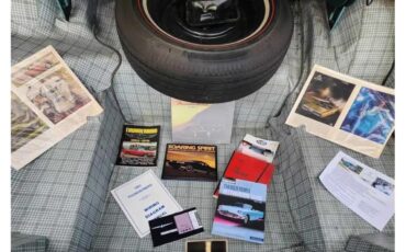 Ford-Thunderbird-1965-Patrician-Green-White-Leather-16