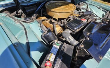 Ford-Thunderbird-1965-Patrician-Green-White-Leather-37