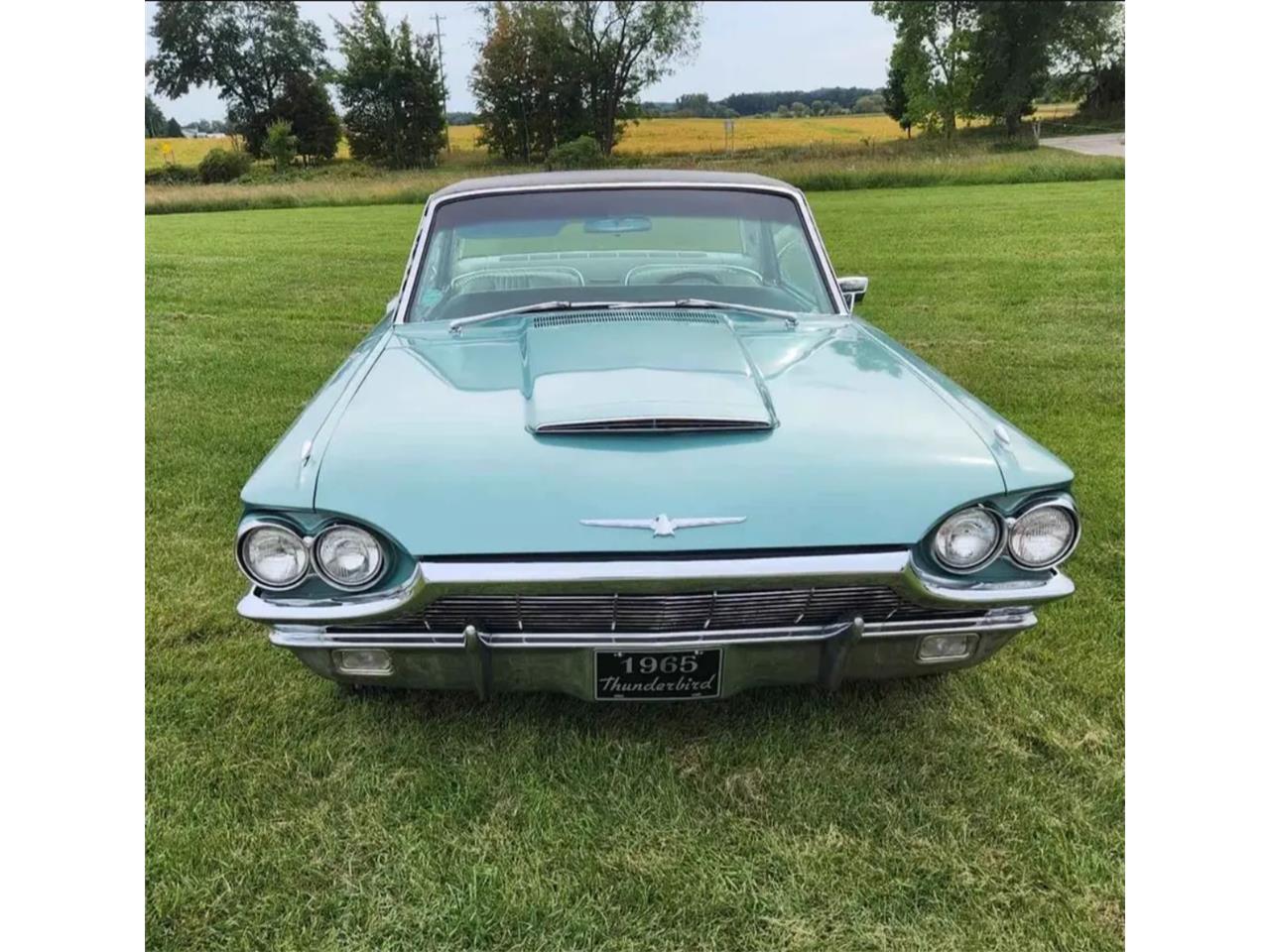 Ford-Thunderbird-1965-Patrician-Green-White-Leather-4