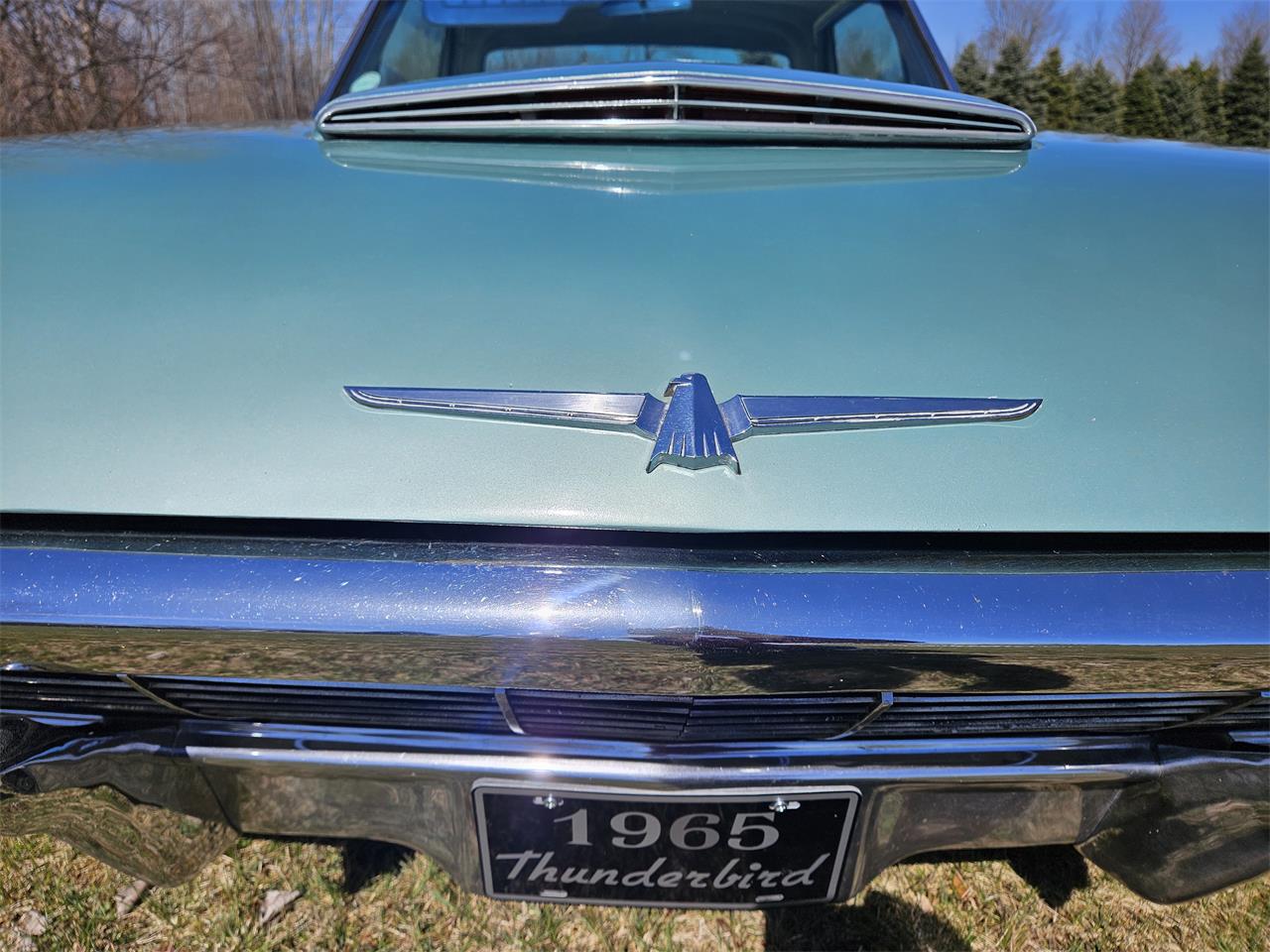 Ford-Thunderbird-1965-Patrician-Green-White-Leather-5