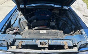 Ford-Thunderbird-1966-Electric-Blue-Blue-4