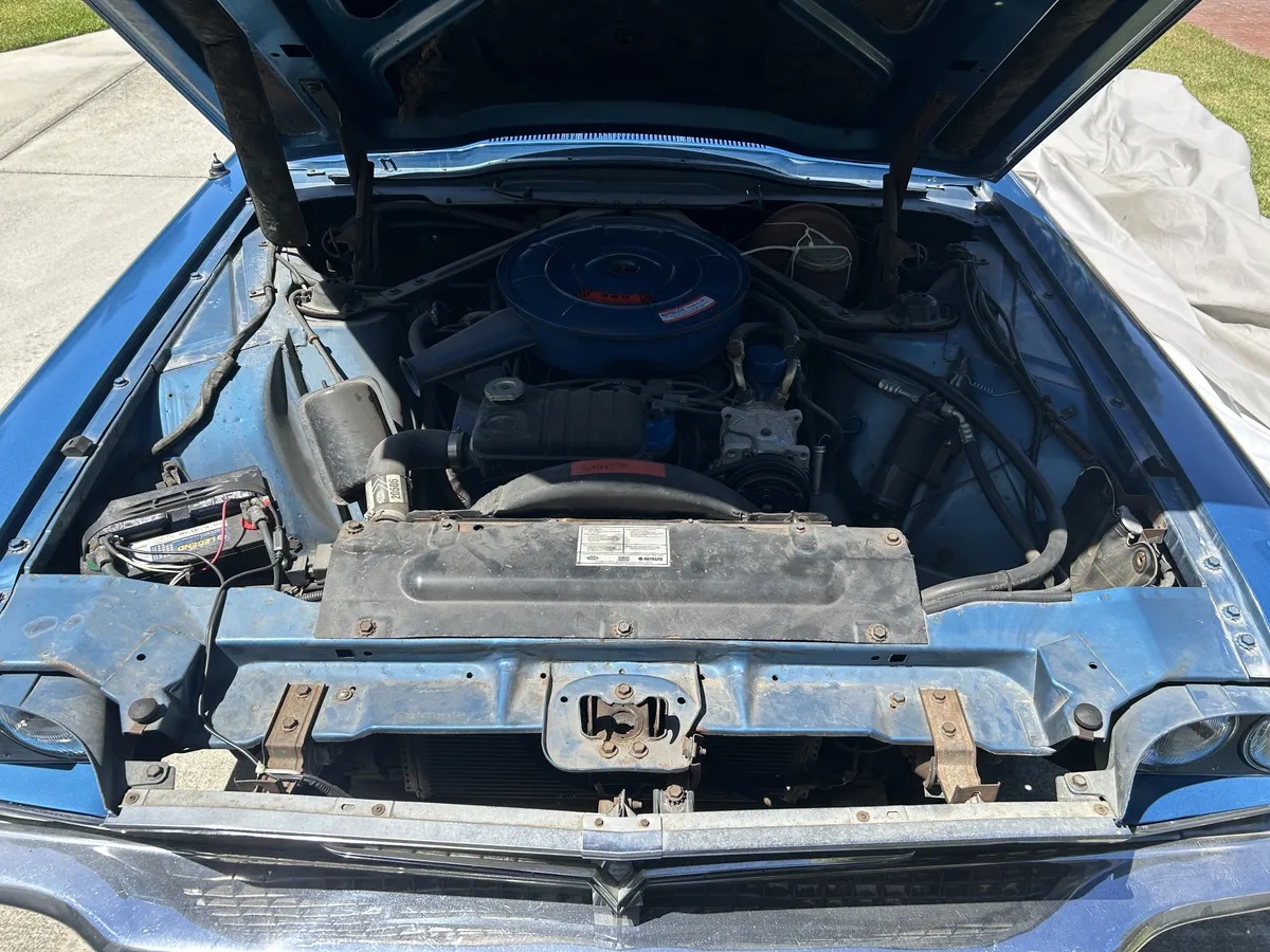 Ford-Thunderbird-1966-Electric-Blue-Blue-4