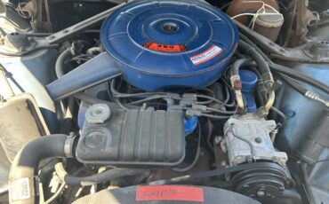 Ford-Thunderbird-1966-Electric-Blue-Blue-5