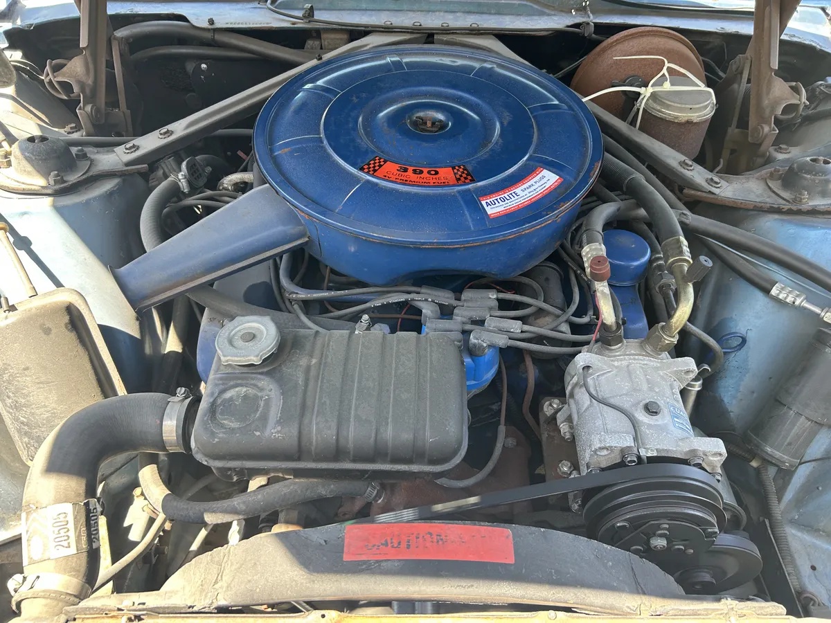 Ford-Thunderbird-1966-Electric-Blue-Blue-5