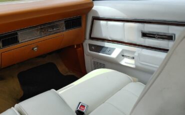 Ford-Thunderbird-1978-Coupe-19