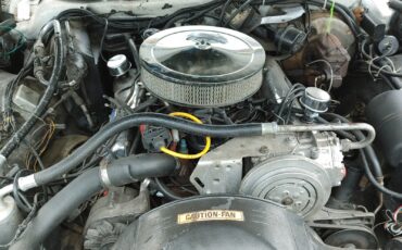 Ford-Thunderbird-1978-Coupe-27