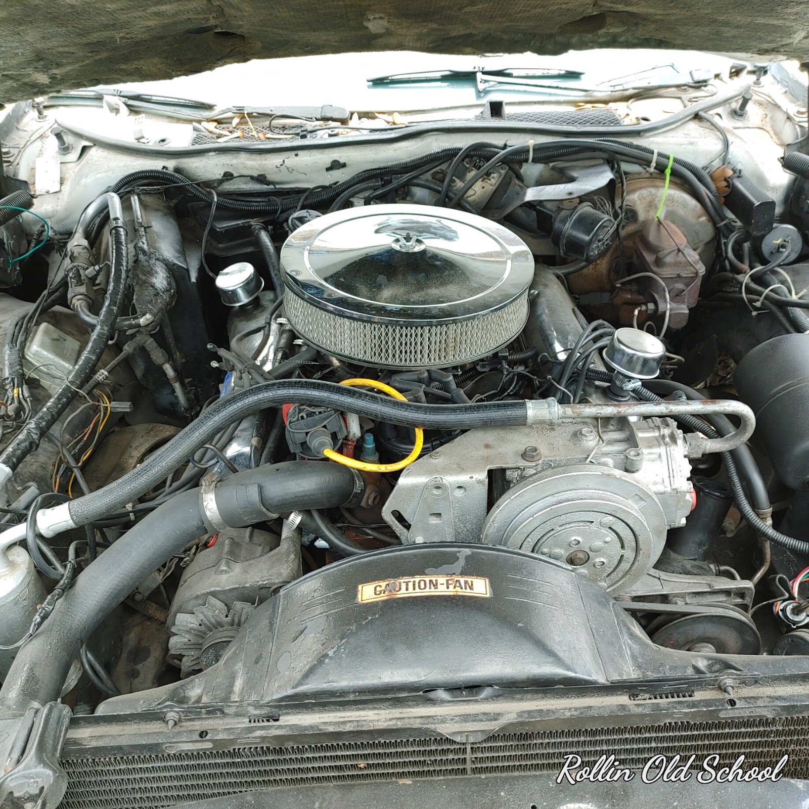 Ford-Thunderbird-1978-Coupe-27