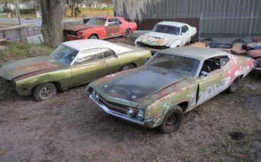 Ford-Torino-1970-Fastback-17