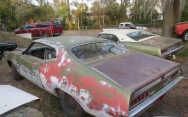 Ford-Torino-1970-Fastback-6