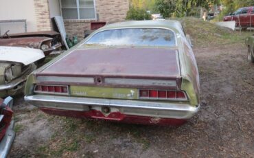 Ford-Torino-1970-Fastback-8