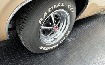 Ford-Torino-1970-Nugget-Gold-Metallic-Ginger-24