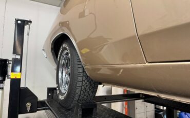 Ford-Torino-1970-Nugget-Gold-Metallic-Ginger-28