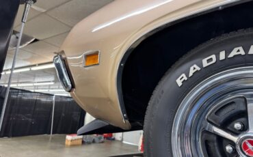 Ford-Torino-1970-Nugget-Gold-Metallic-Ginger-30