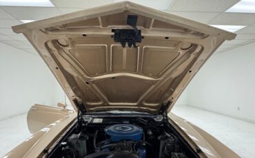 Ford-Torino-1970-Nugget-Gold-Metallic-Ginger-36