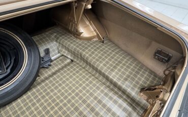 Ford-Torino-1970-Nugget-Gold-Metallic-Ginger-37