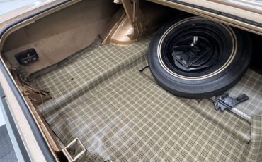 Ford-Torino-1970-Nugget-Gold-Metallic-Ginger-40