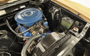 Ford-Torino-1970-Nugget-Gold-Metallic-Ginger-6