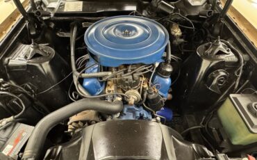 Ford-Torino-1970-Nugget-Gold-Metallic-Ginger-7