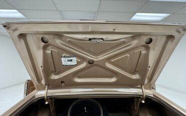 Ford-Torino-1970-Nugget-Gold-Metallic-Ginger-9