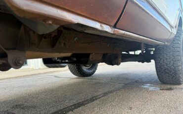 Ford-bronco-1978-brown-6