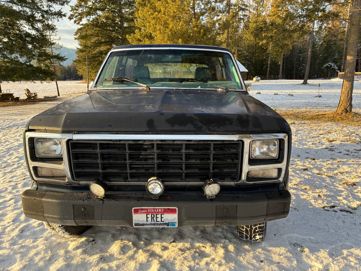 Ford-bronco-1980-blue-2
