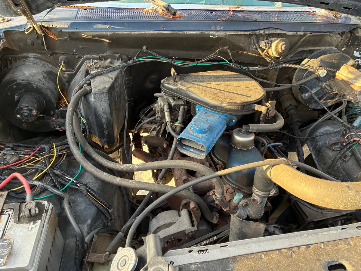 Ford-bronco-1980-blue-3