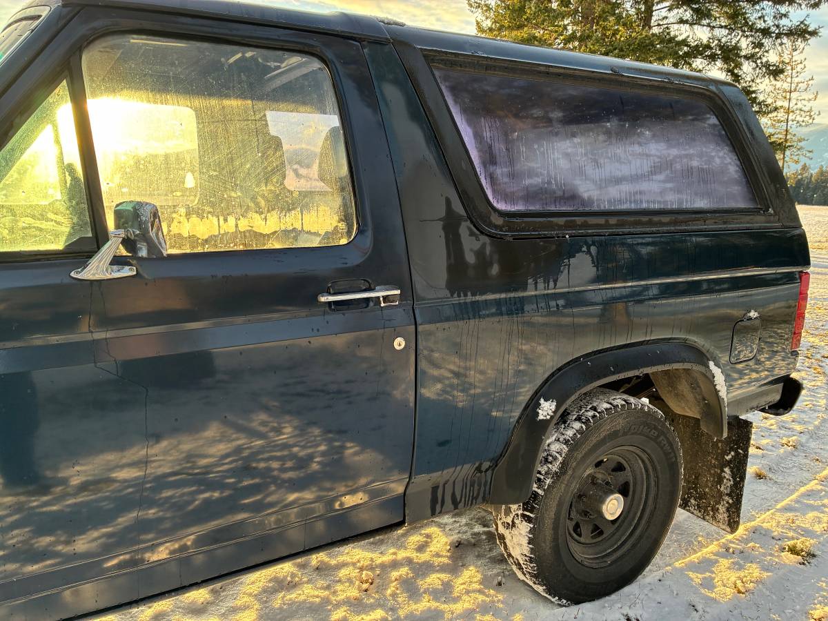 Ford-bronco-1980-blue-6