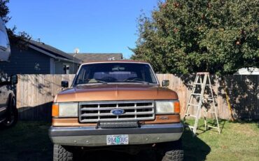 Ford-bronco-1989-brown-1